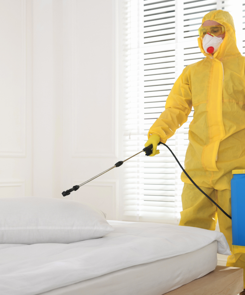 Professional Pest Control Team in Medindie